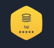 
                  SQL Gold Badge Holder